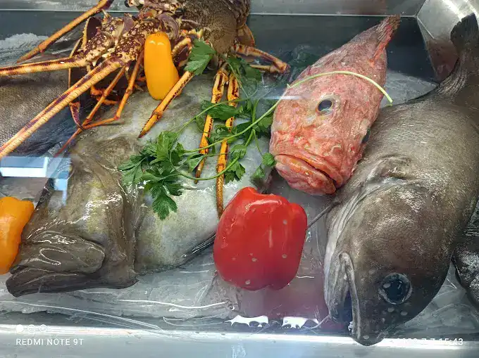 LaLonja Almeria Costa de Almeria Restaurantes restos restaurant Pulpi.eu pescados