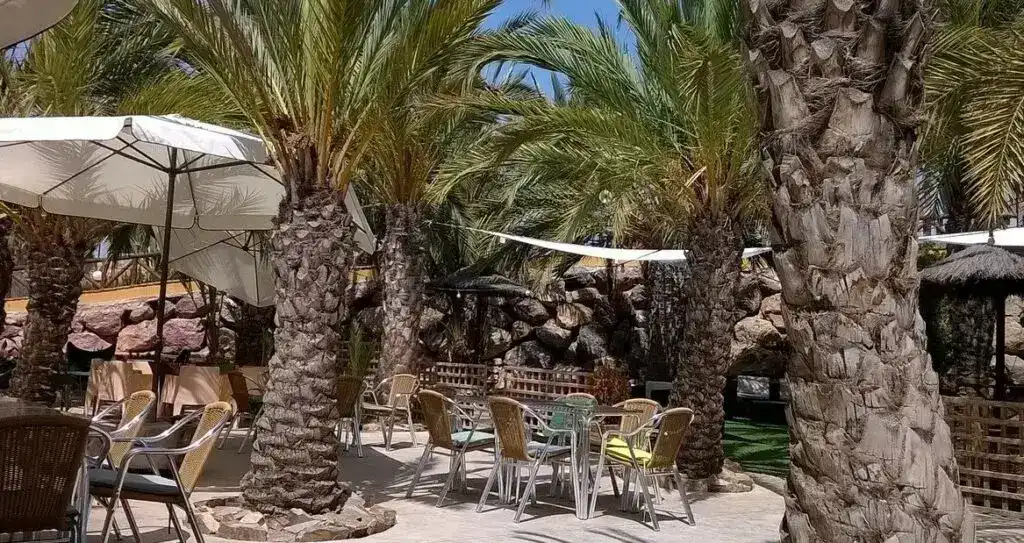 Centro Deportivo Puerto Rey garden