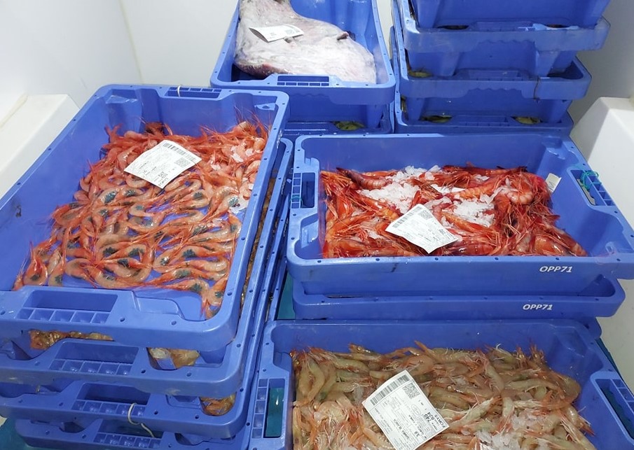 criées - marchés aux poissons pro