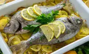 dorade-dorada