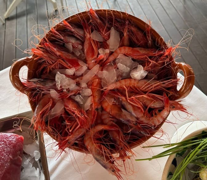 Bangalore gambas