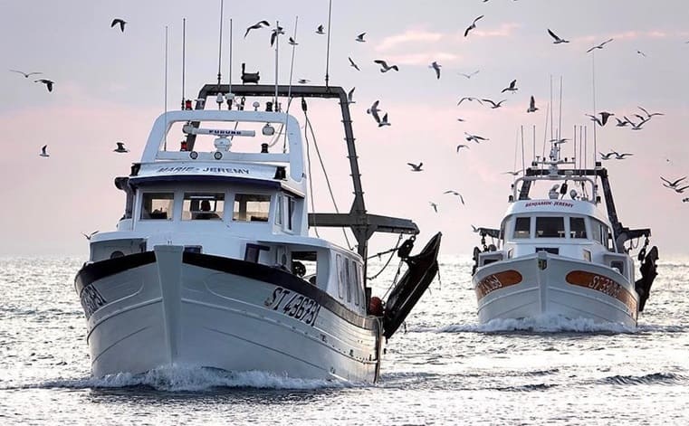 Boat fresh fish