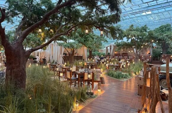 Voltereta Tanzania Alicante restos restaurantes exotica