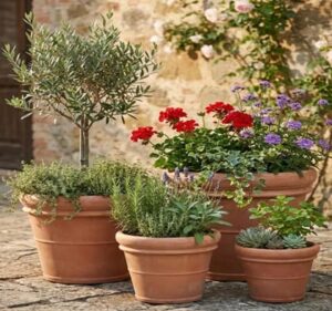 pot terre cuite