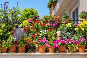 pots