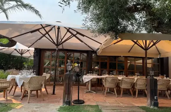 Masena Alicante Restos restaurantes terraza