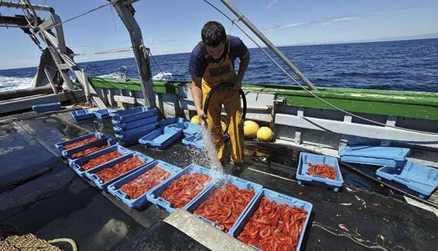 Garrucha pescadores