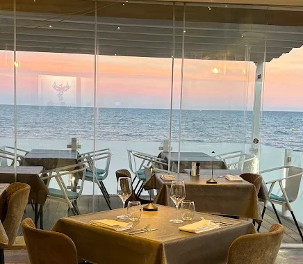 Brasserie Phoenix Torrevieja Alicante restos restaurantes mare
