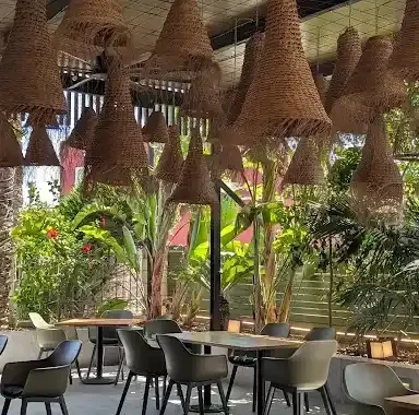 Carlos Alicante Sudeste de Espana restaurante restos terraza