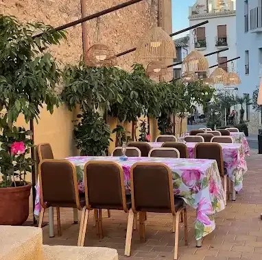 El Xato Alicante restos restaurantes terraza
