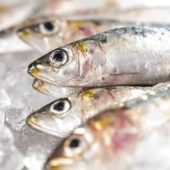 Sardinas